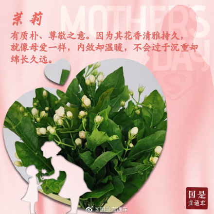 母亲节如何选花?这些花语要知道 母亲节如何选花?这些花语要知道