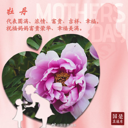 母亲节如何选花?这些花语要知道 母亲节如何选花?这些花语要知道