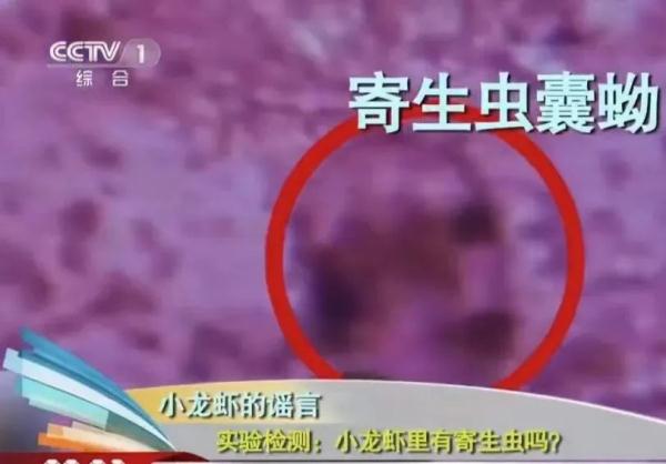 冲上热搜!医生建议小龙虾不能这样吃!网友吵开了…… 冲上热搜!医生建议小龙虾不能这样吃!网友吵开了……