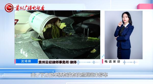 仙人掌：我掉下来了！奔驰车：我被砸穿了！贵阳男子：我心凉透了！
