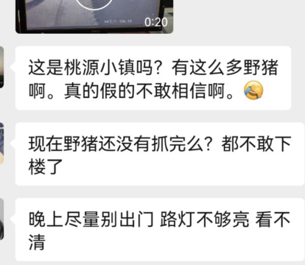 今早,杭州一小区突然冲进多头野猪,物业发布安全通知!监控里,8只黑影穿过马路... 今早,杭州一小区突然冲进多头野猪,物业发布安全通知!监控里,8只黑影穿过马路...