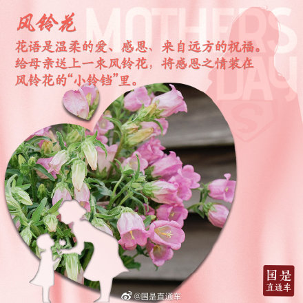 母亲节如何选花?这些花语要知道 母亲节如何选花?这些花语要知道