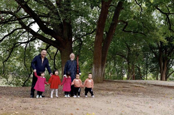 最高树龄114岁，武汉藏着一处百年古树群落