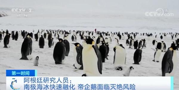 这一物种面临严重灭绝风险！