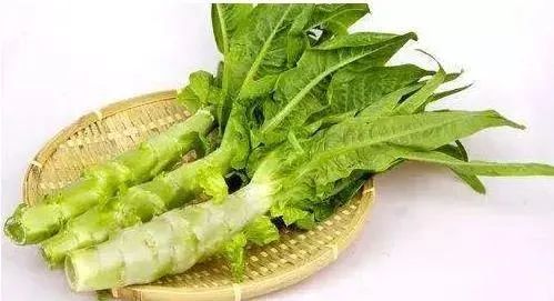 它是五月的"千金菜",现在吃这菜正当时,不炒不炖,拌一拌就好吃 它是五月的"千金菜",现在吃这菜正当时,不炒不炖,拌一拌就好吃