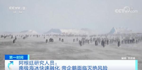 这一物种面临严重灭绝风险！