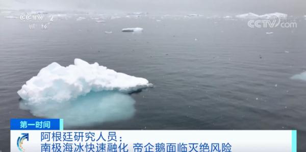 这一物种面临严重灭绝风险！