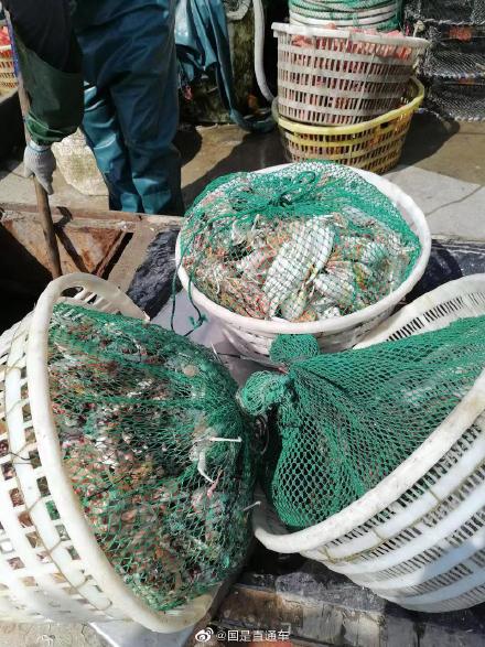 海南海警局持续严厉打击违反伏季休渔期规定出海渔船