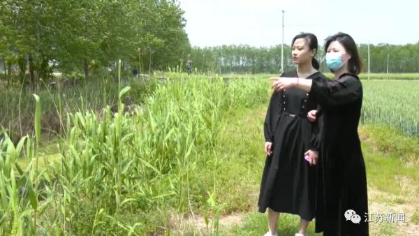 救命之恩，40年不忘！母亲节那天，她终于见到了恩人