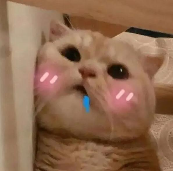 餐饮行业复工忙!上海人熟悉的新旺、海底捞、小龙虾……正在慢慢回归 餐饮行业复工忙!上海人熟悉的新旺、海底捞、小龙虾……正在慢慢回归