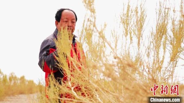 【十年@每一个奋斗的你】北京老王“邂逅”内蒙古额济纳 8年植绿31万亩