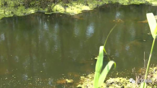 救命之恩，40年不忘！母亲节那天，她终于见到了恩人