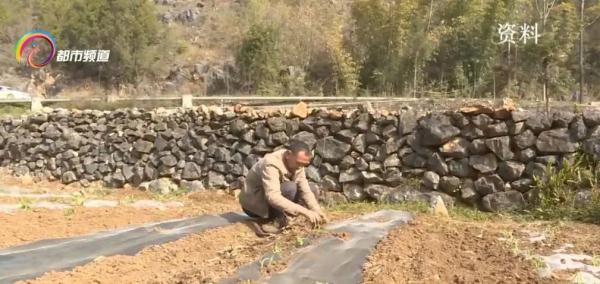 云南人注意！降温+强降雨即将来袭！雷暴、大风、局地冰雹等强对流天气也将“现身”