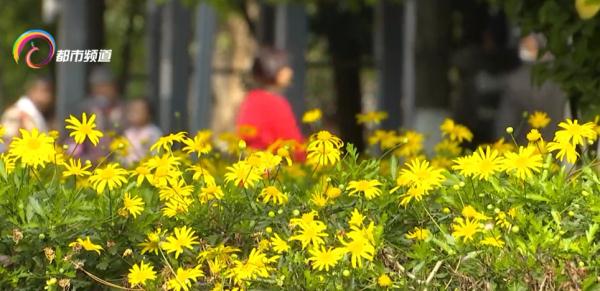 云南人注意！降温+强降雨即将来袭！雷暴、大风、局地冰雹等强对流天气也将“现身”