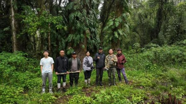 76.8米!中国大陆已知最高的这棵“树王”如何被发现? 76.8米!中国大陆已知最高的这棵“树王”如何被发现?