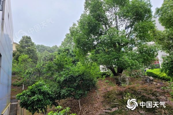 今后三天湖南大部小雨霏霏 明天永州等地局地或有大到暴雨 今后三天湖南大部小雨霏霏 明天永州等地局地或有大到暴雨