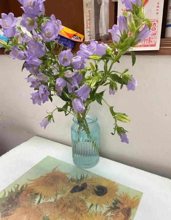 疫情中的上海邻居:90后志愿者和89岁“独居少女” 相互治愈 疫情中的上海邻居:90后志愿者和89岁“独居少女” 相互治愈