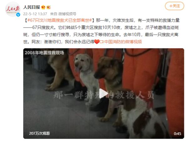 67只汶川地震搜救犬已全部离世 我们会永远记得你们！