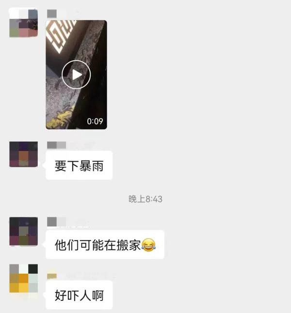 吓出鸡皮疙瘩！福州一小区出现好多……