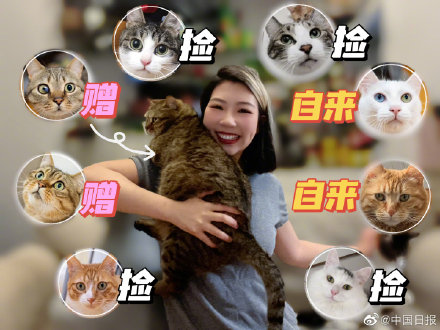 上海一对情侣携8只猫咪入住隔离酒店 上海一对情侣携8只猫咪入住隔离酒店