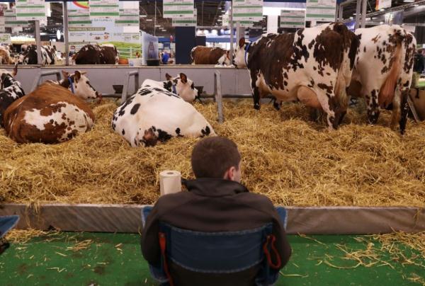 干旱威胁法国粮食生产 或波及全球市场 干旱威胁法国粮食生产 或波及全球市场
