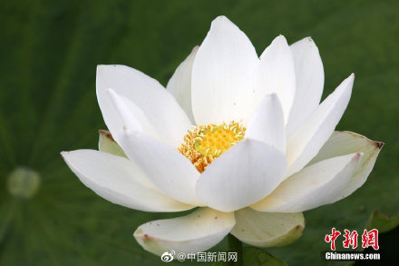 每一个平淡的日子都值得尊重，每一个还在身边的人都应该珍惜