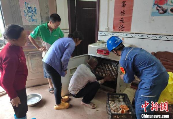 广西雨势仍强劲 41.6万户因暴雨受灾用户恢复供电