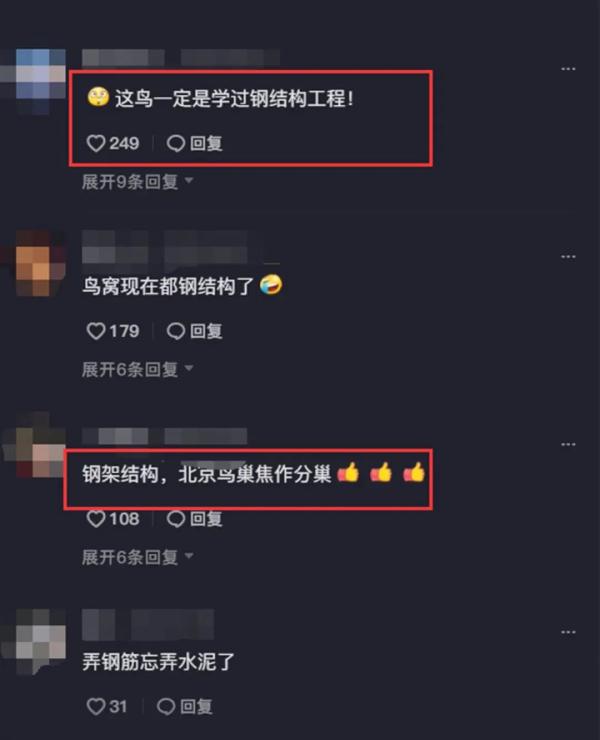 一个鸟窝砸坏轿车!网友:现在连鸟窝都钢结构了… 一个鸟窝砸坏轿车!网友:现在连鸟窝都钢结构了…