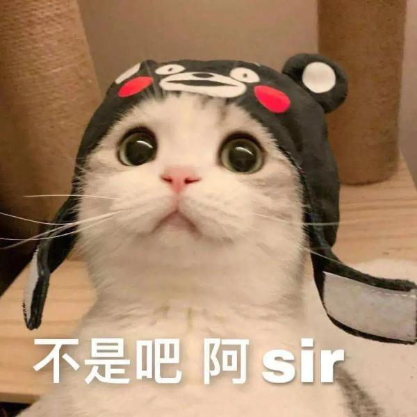 钻车底发现“生财之道”？清远公安：一个都别想逃！