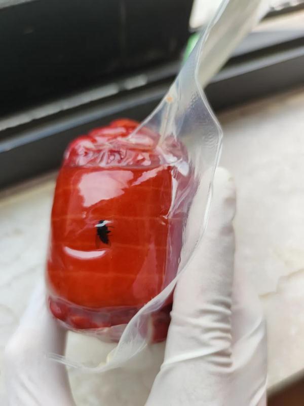 闵行保供食品内有苍蝇？罚！发往上海的京东快递散单全面静止？假的！