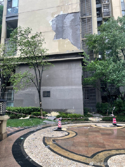 成都昨晚的风有多大 树都被刮到了