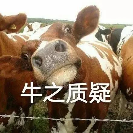 两老人“斥巨资”给牛做“亲子鉴定”