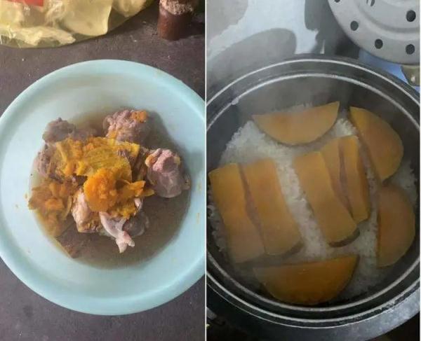 铲屎官隔离,宠物咋办?这个“宠物方舱”样本来了 铲屎官隔离,宠物咋办?这个“宠物方舱”样本来了