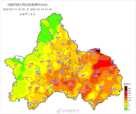 成都昨晚的风有多大 树都被刮到了