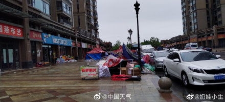 成都昨晚的风有多大 树都被刮到了