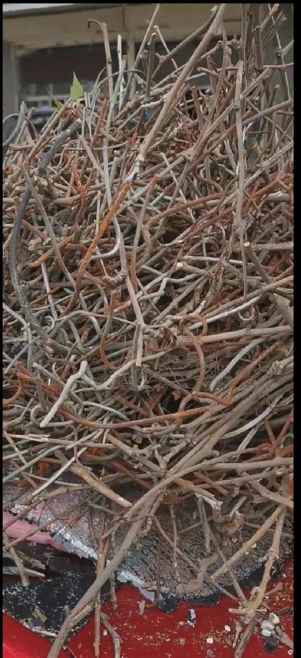 一个鸟窝砸坏轿车!网友:现在连鸟窝都钢结构了… 一个鸟窝砸坏轿车!网友:现在连鸟窝都钢结构了…