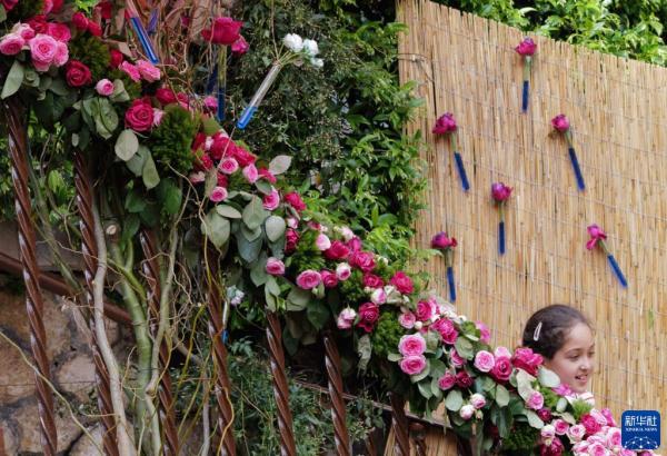 法国：香水之都举办玫瑰花节