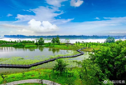 受强降雨影响 白鹤滩国家湿地公园临时闭园 受强降雨影响 白鹤滩国家湿地公园临时闭园