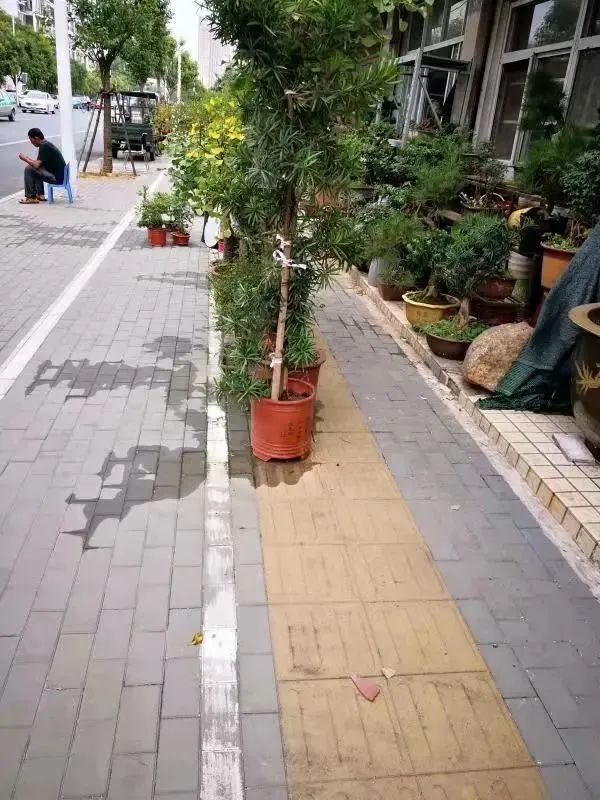 与盲人争道,于心何忍? 与盲人争道,于心何忍?