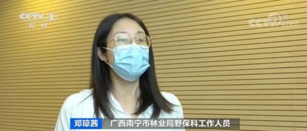 宠物鹦鹉火了！一只卖到2000元！注意：这样做可能违法