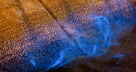 美到令人窒息，天津东疆港惊现“蓝眼泪”