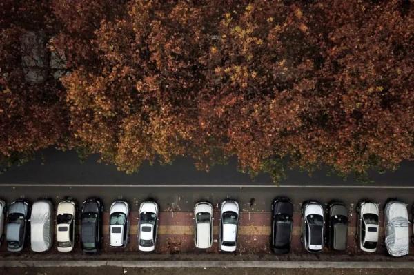 与盲人争道,于心何忍? 与盲人争道,于心何忍?