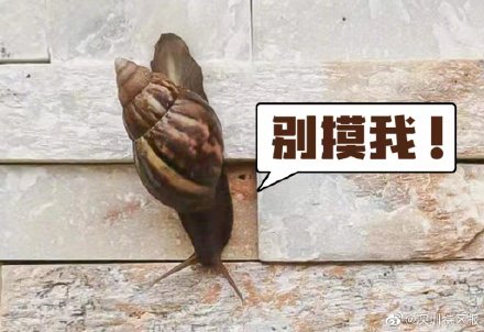 病原体、寄生虫……如何防治非洲大蜗牛？
