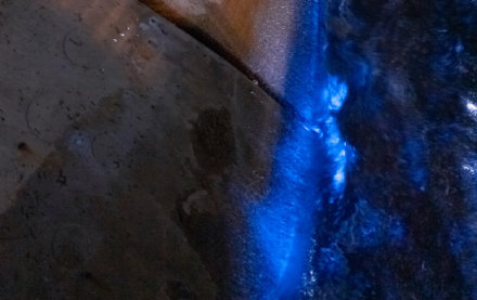 美到令人窒息，天津东疆港惊现“蓝眼泪”