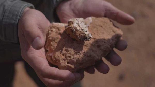 内蒙古发现的这条“龙”，约有1.25亿岁