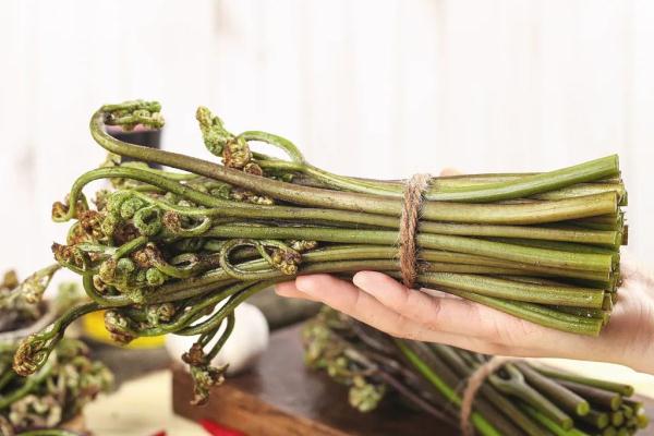 “山菜之王”就是它！吃前这3步，再懒也别省，否则很危险！