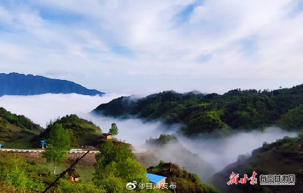 夏日，武都千坝草原美得有些过分！