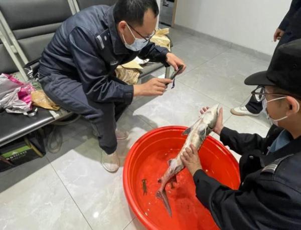 浙江一村民钓龙虾遇上“无价之宝”？！没想到是…