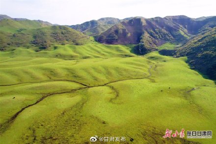 夏日，武都千坝草原美得有些过分！
