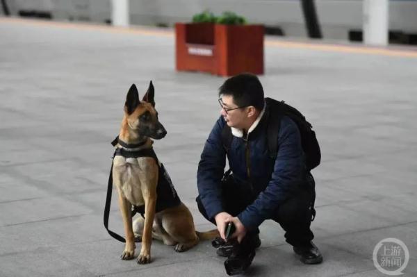 上班真的会变丑吗?小鲜肉变“一拳超人”,“偶像剧男主”变大叔 上班真的会变丑吗?小鲜肉变“一拳超人”,“偶像剧男主”变大叔